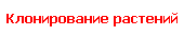 Клонирование растений