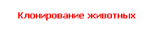 Клонирование животных