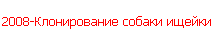 2008-Клонирование собаки ищейки